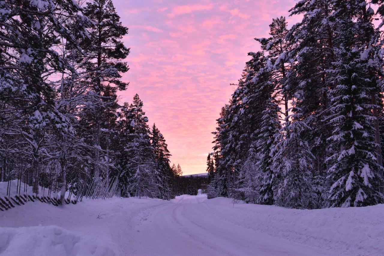 Horrmundsgarden I Saelen Bed & Breakfast Horrmunden ภายนอก รูปภาพ